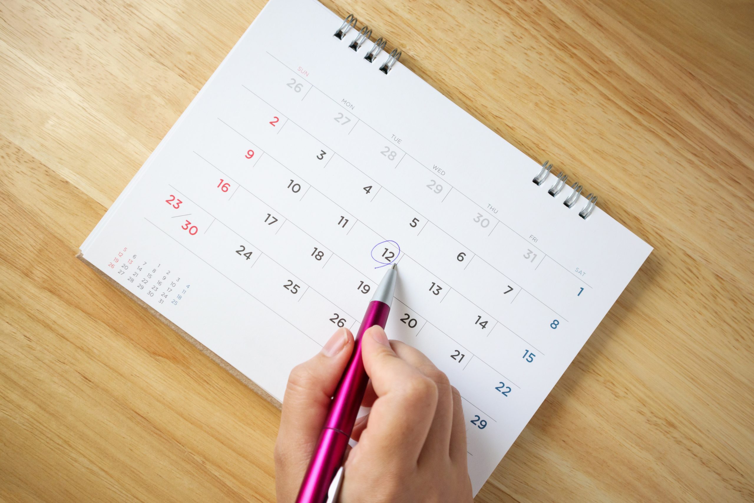 Woman holding a calendar